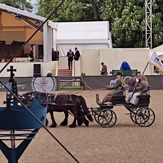 Lady Louise driving at Royal Windsor Horse Show