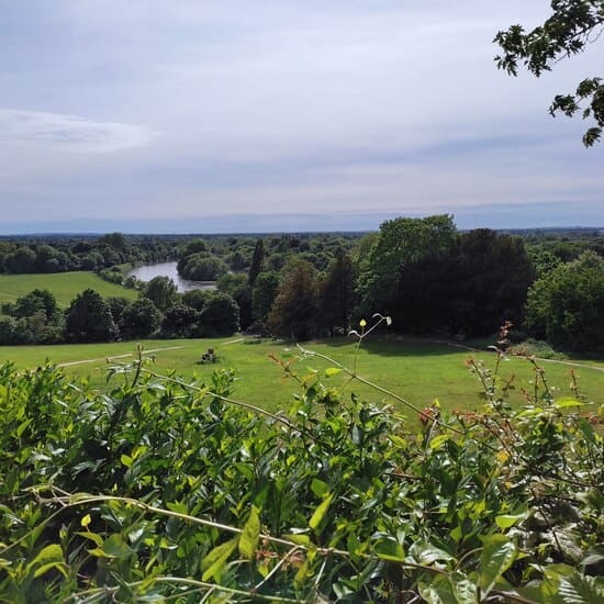 View from Richmond Hill