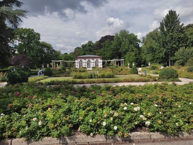 Flower beds with white blooms and small cottage in the background