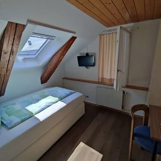 Small room at Hotel Post Hardermannli in Interlaken with a single bed, skylight, window, and small wall-mounted TV