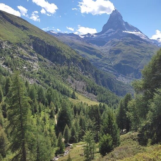 Hike through trees near Riffelalp