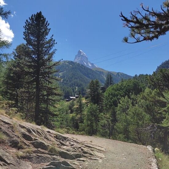 Path through lush mountain scenery back to Zermatt
