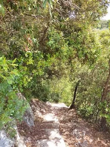 Though parts of the Nietsche Path Èze are in shade, most of it is quite sunny so sun protection and water are a must