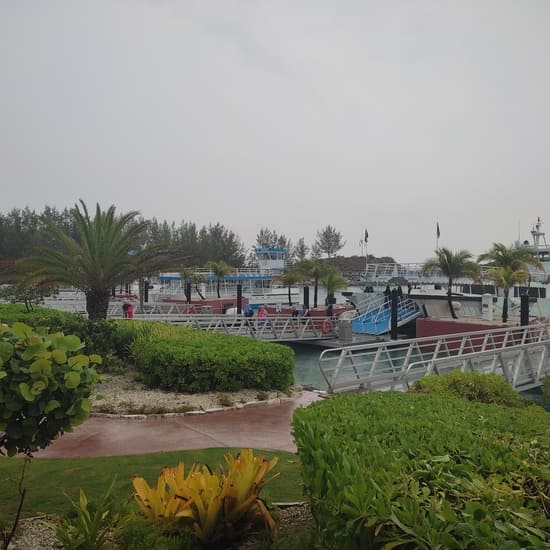 Dock with tender boats in drizzly rain on Great Stirrup Cay