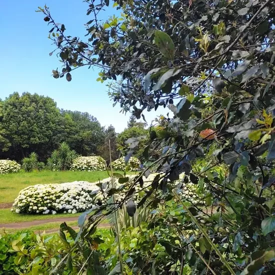 Garden of Quinta do Pico da Cruz