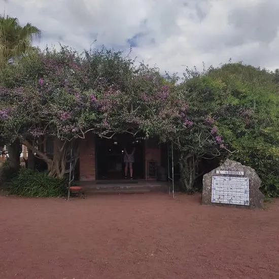 Small shop overgrown with blooming tree during Shore Excursion Azores