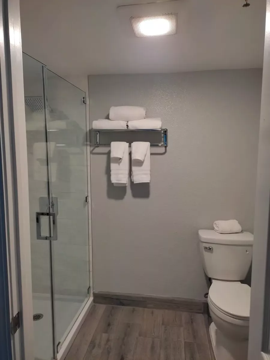 Bright modern bathroom with large shower with glass door on left and toilet on right