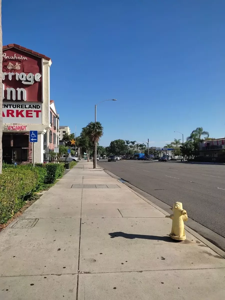 Wide street in Anaheim, leading to Disneyland Resort