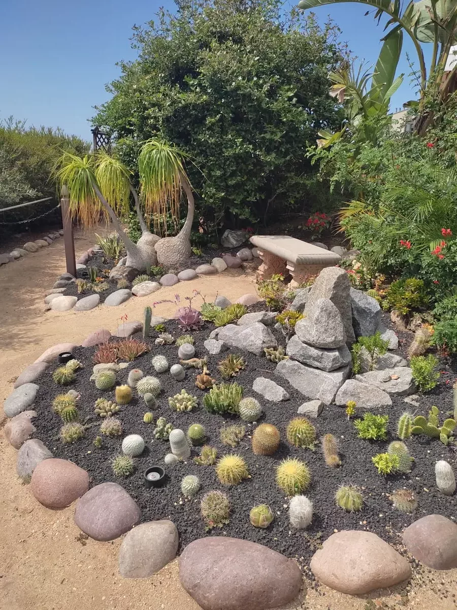 Paths and stone-enclosed flower beds with cacti at the Self-Realization Gardens in Encinitas. A stone bench invites to meditate.