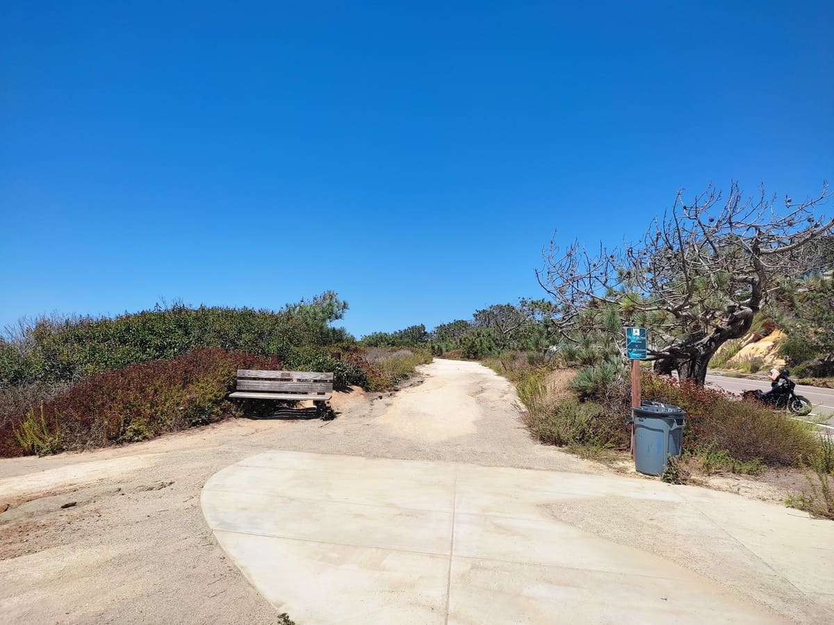 San Elijo Lagoon with its fresh green and small waterways is an interesting contrast to the normally arid landscape in Southern California