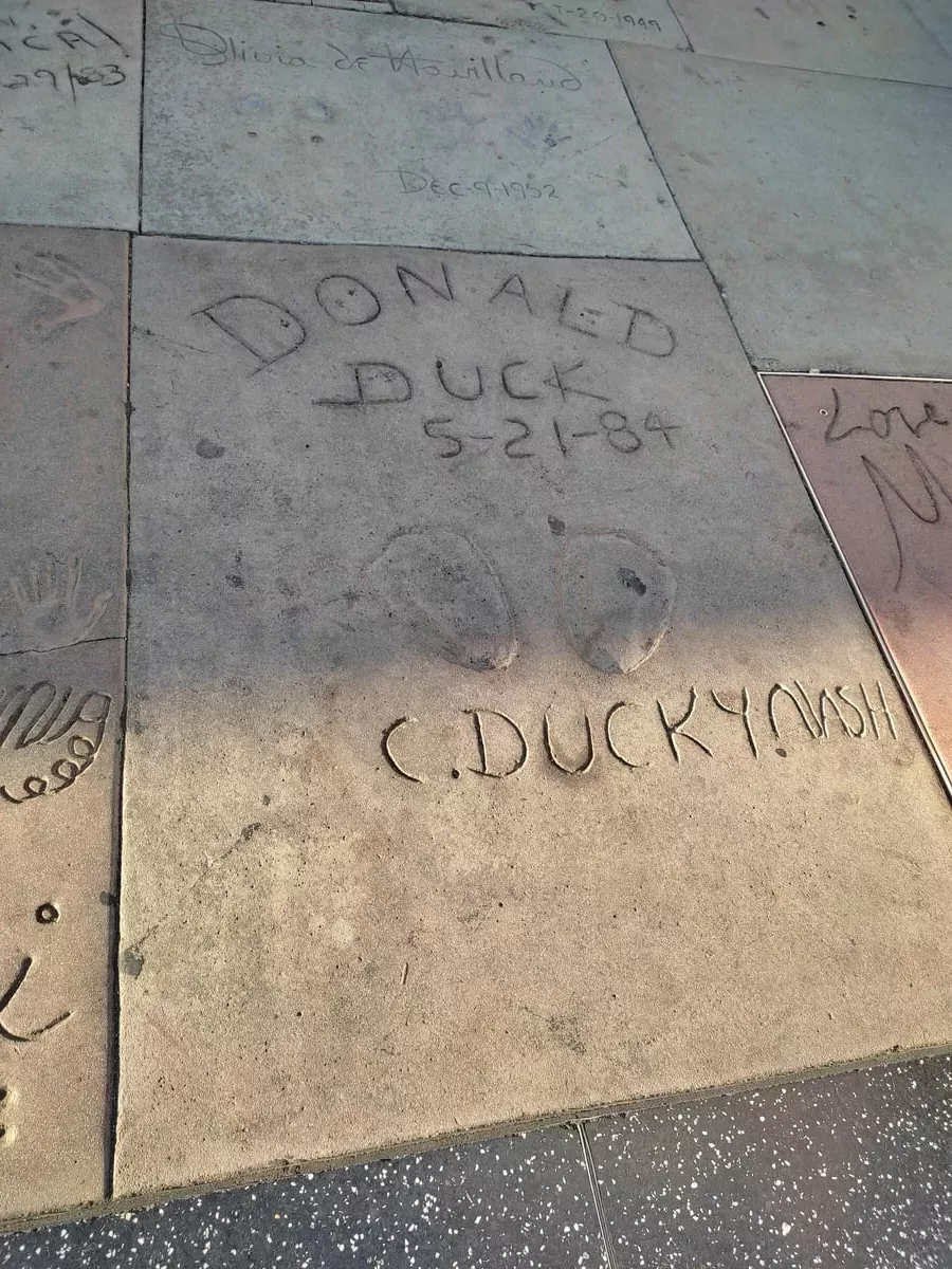 Donald Duck is one of many who have imprinted their feet right in front of the TLC Chinese Theater.