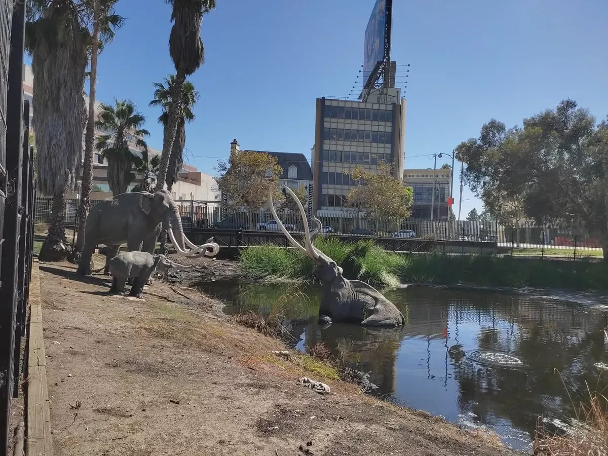 Lake Tar Pit on Wilshire Boulevard in Los Angeles with mammoth reconstructions