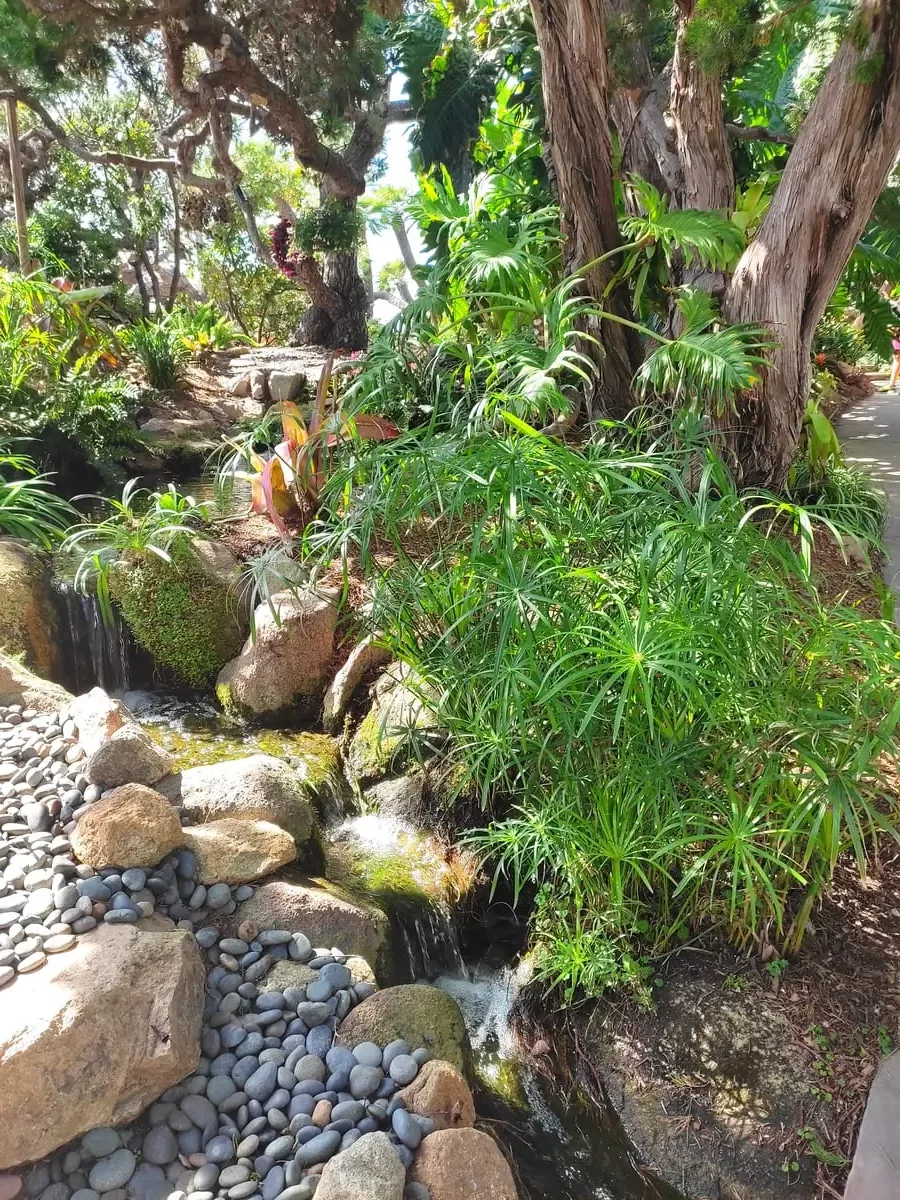 Pebbles, stones, a small brook, large trees and green plants form an Asian inspired serene gardenscape