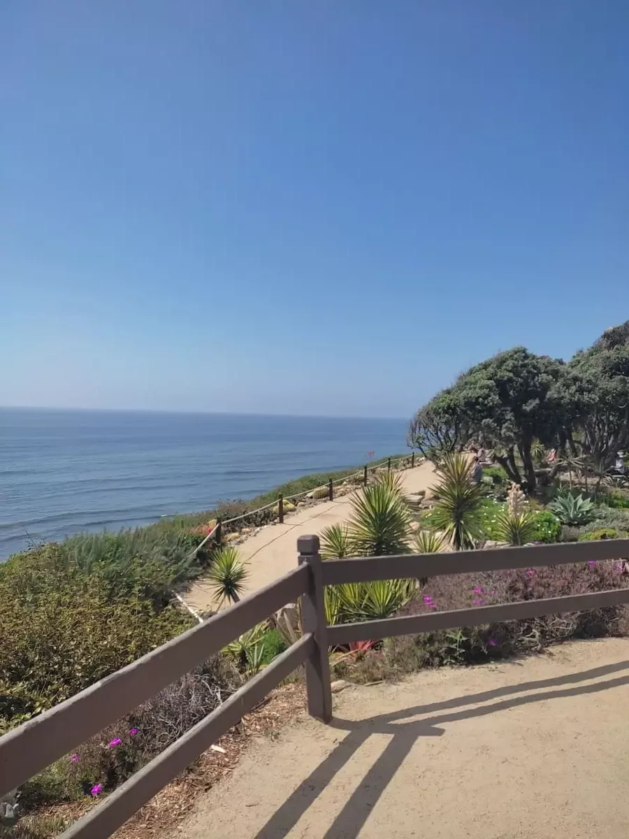 Serene view out to sea from highest point of the Self-Realization Fellowship Gardens in Encinitas