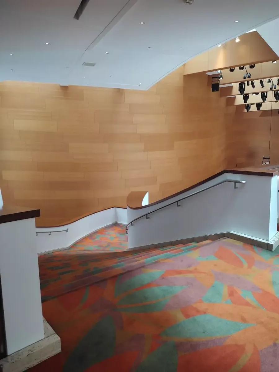 Large staircase in Disney Concert Hall with brightly patterned carpet