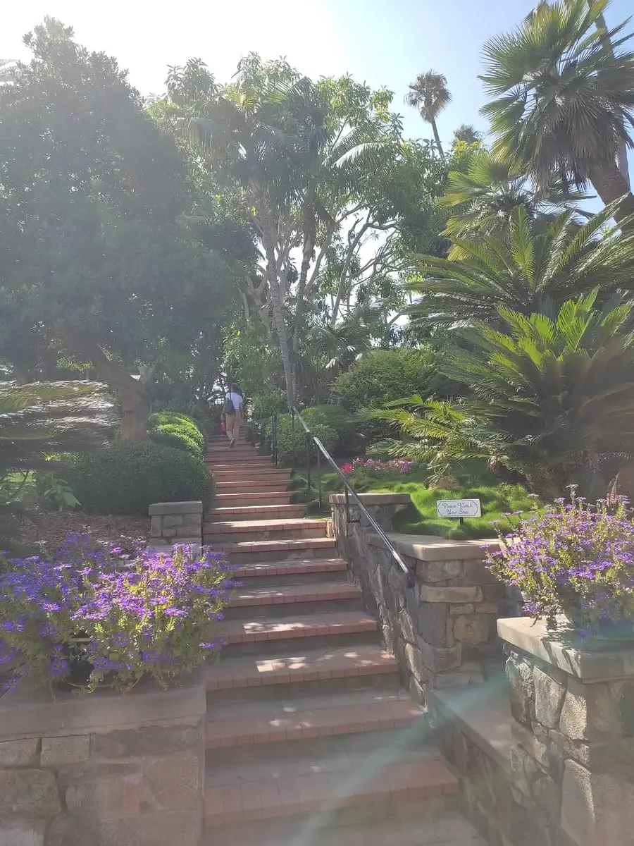 Stone steps lead up to the Self-Realization Meditation Gardens in Encinitas. To both sides colorful flowers and well-kept bushes grow.