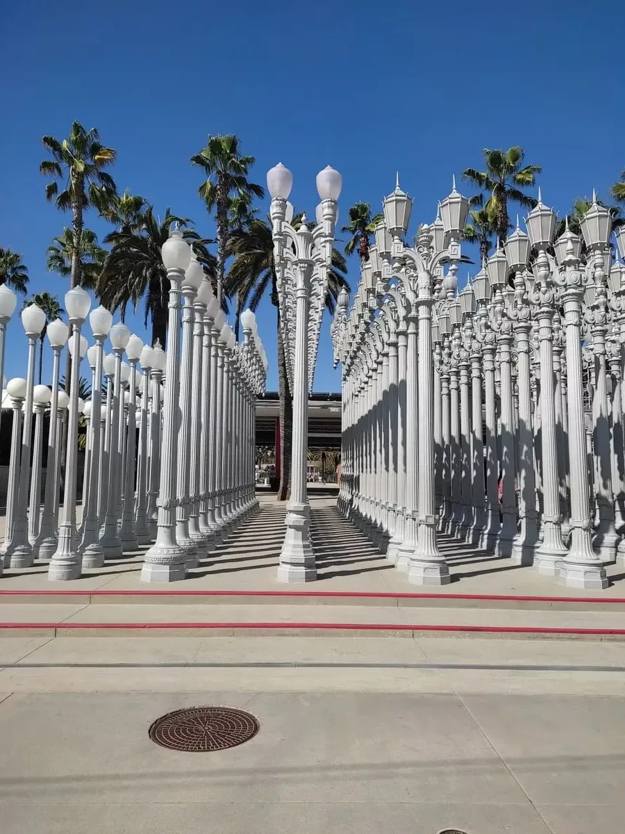 Urban Lights art installation with rows of pale grey lampposts next to LACMA in Los Angeles