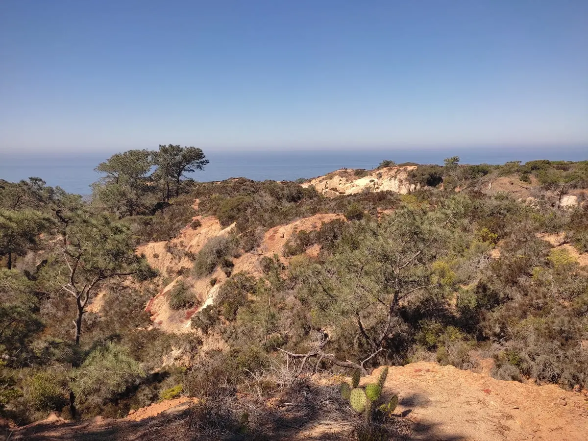 Torrey Pines outlook