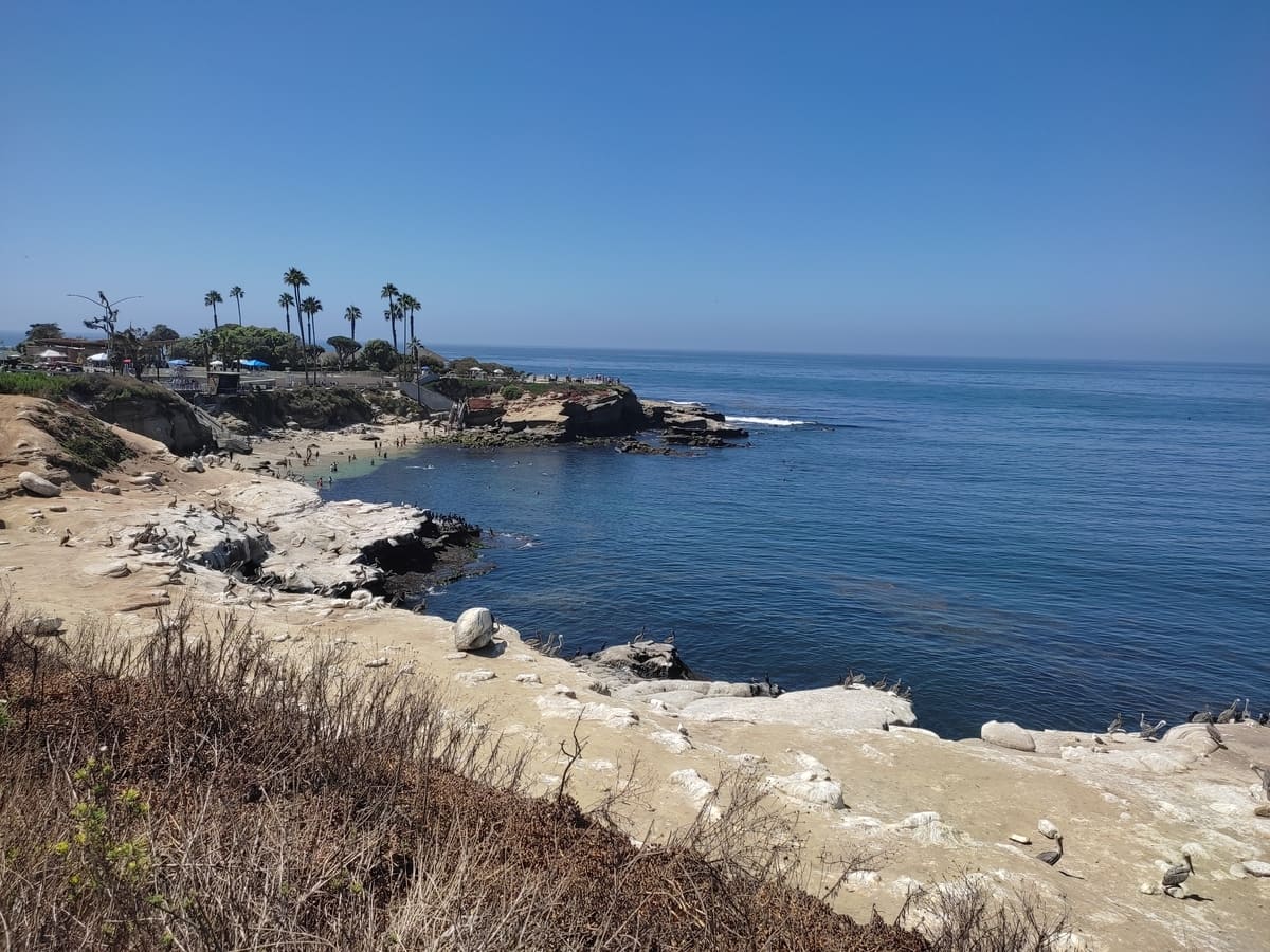 La Jolla is known for its wildlife, especially the sea lions