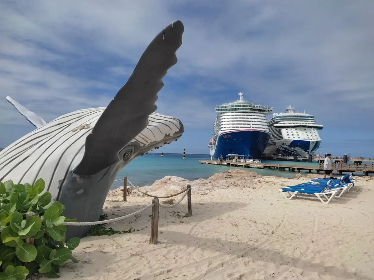 Beach in Grand Turk with Sky Princess and Carnival Ship in background