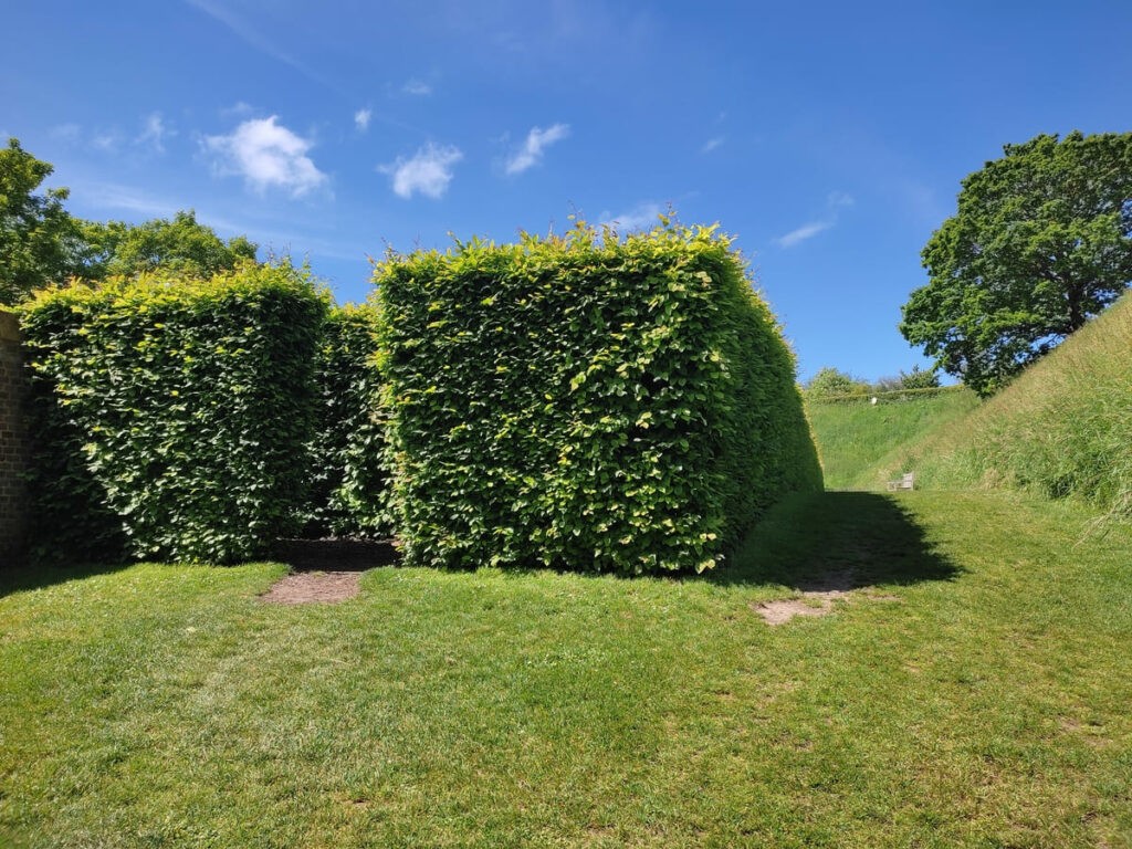 Entrance to Hedge Maze, Le Havre