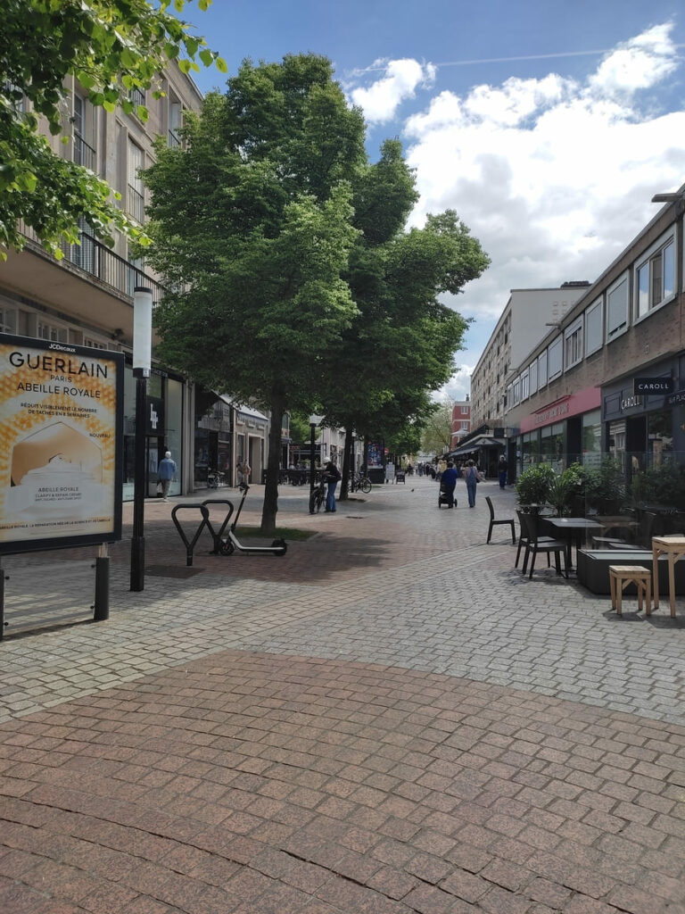 Pedestrian shopping street with trees in Le Havre