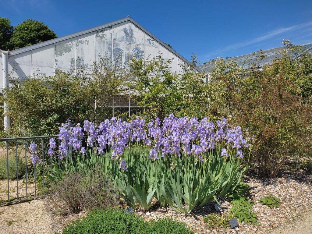 Greenhouses at Jardins Suspendus