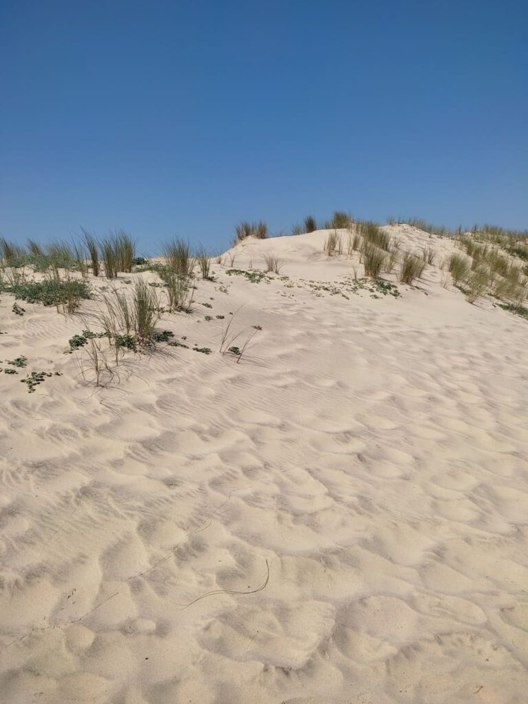 Sand dunes in Soulac