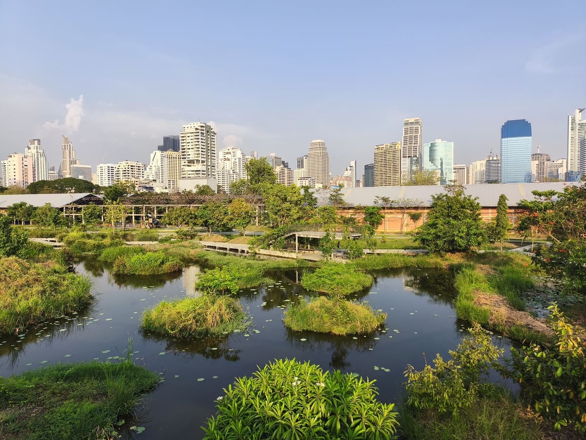 Forest park with lush green and cityscape in background