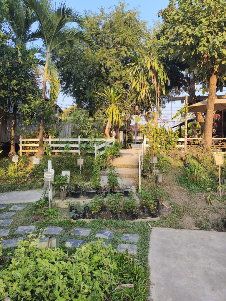 Herb garden at restaurant with labeled plants
