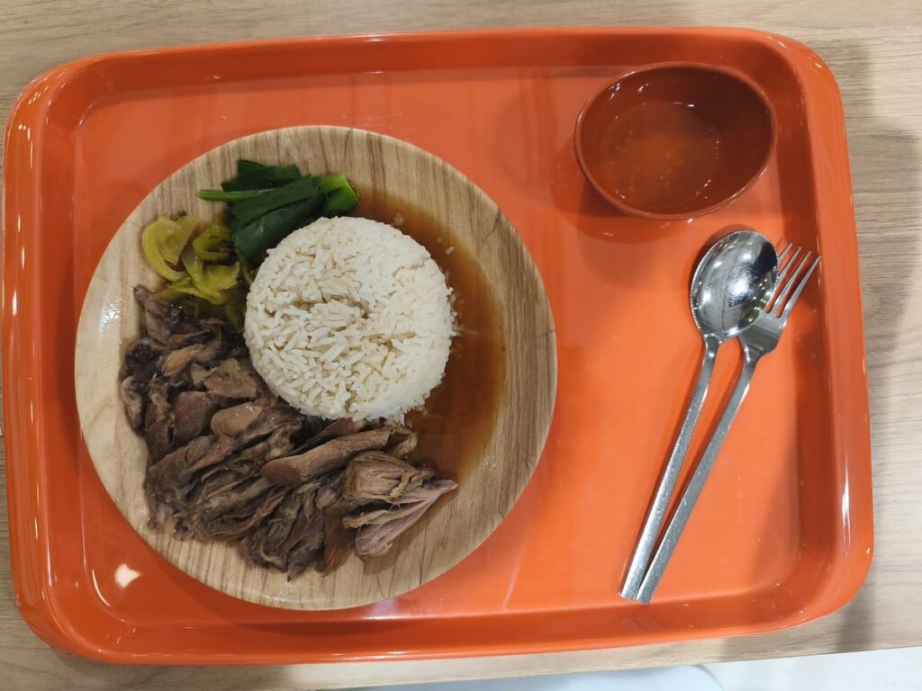 Plate with meat and rice