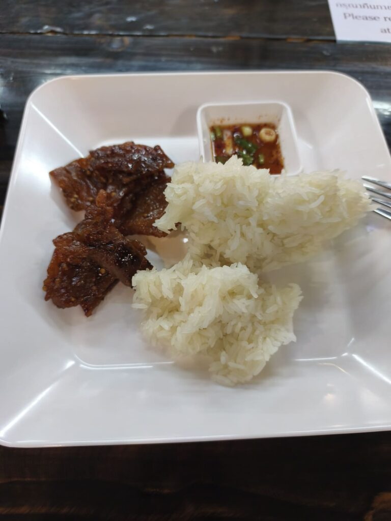 Plate with rice and meat