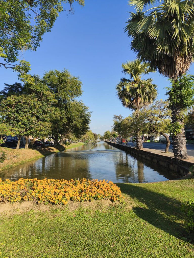 Chiang Mai moat with trees and flowers around it