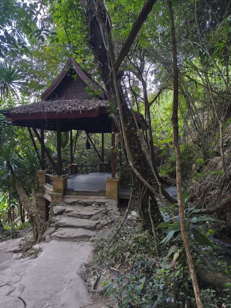 Pavilion in the jungle