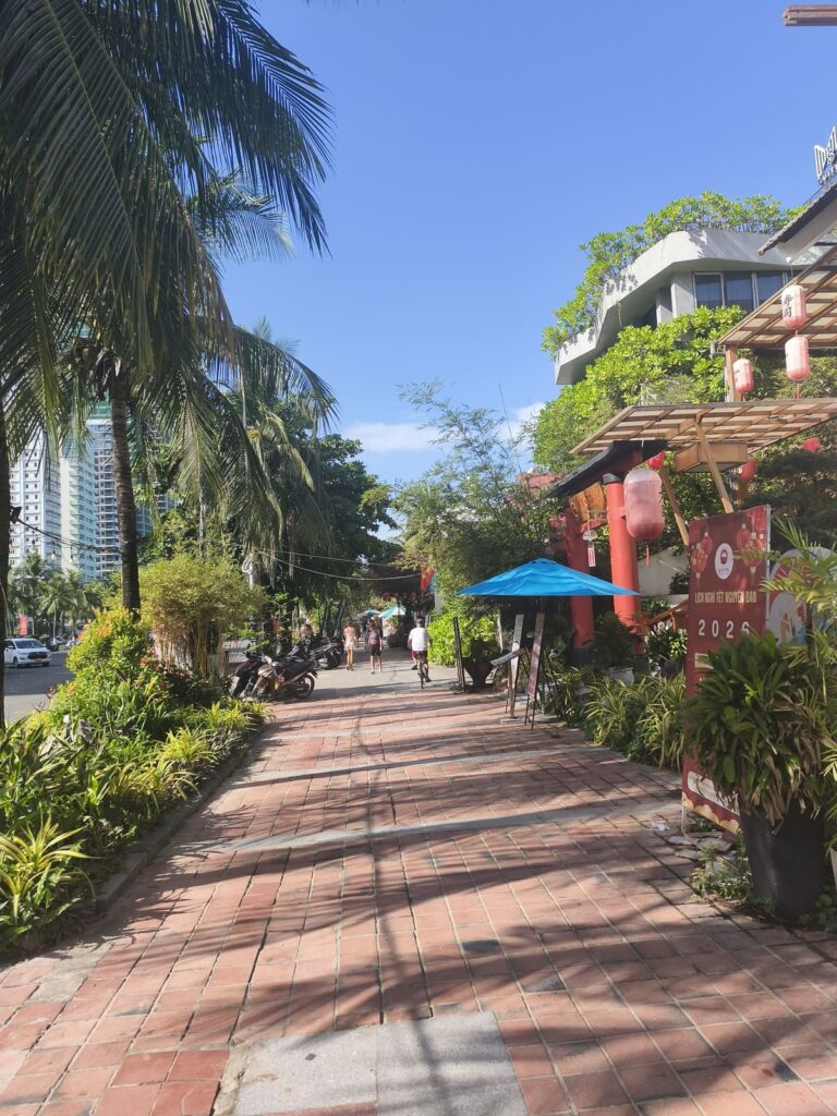 Palm-lined street with restaurants at beach