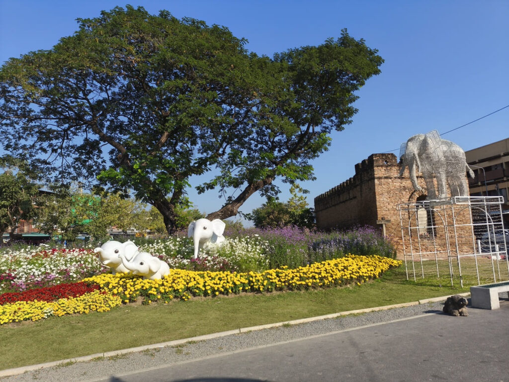 Chiang Mai's North Gate