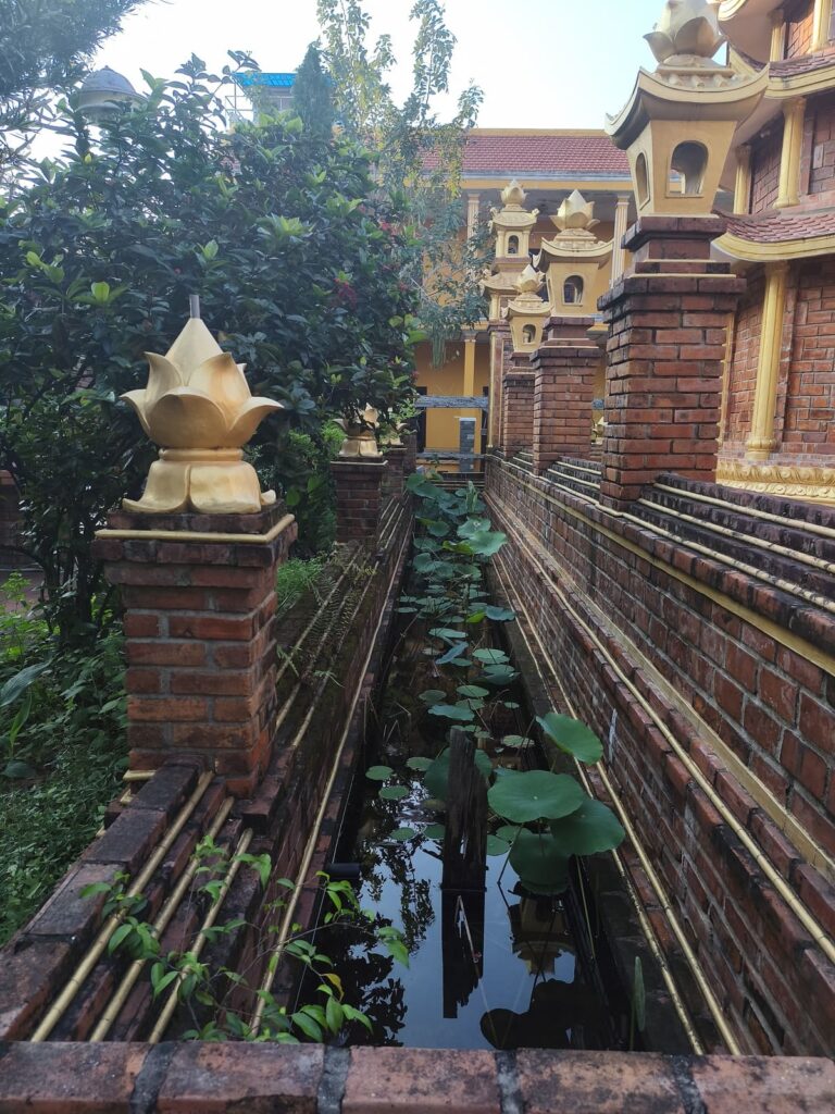 Rectangular pond with water lilies