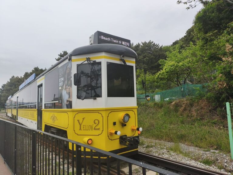 Yellow-and white tram on tracks at coast