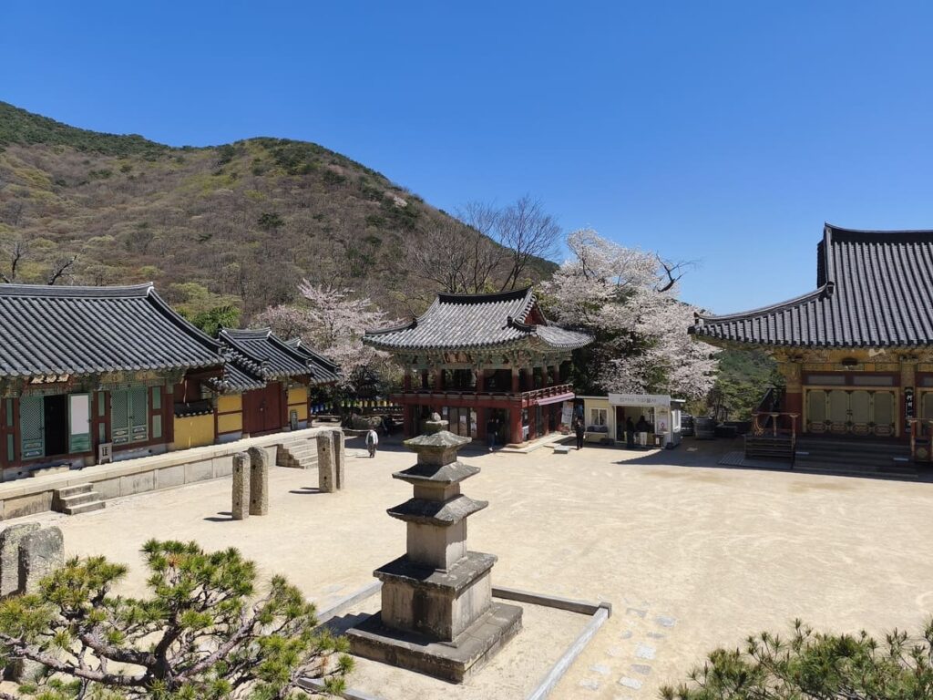 Bemeosa TEmple with a big cherry tree