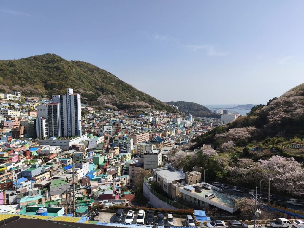 View over Gamcheon Village with cherry tree on hills