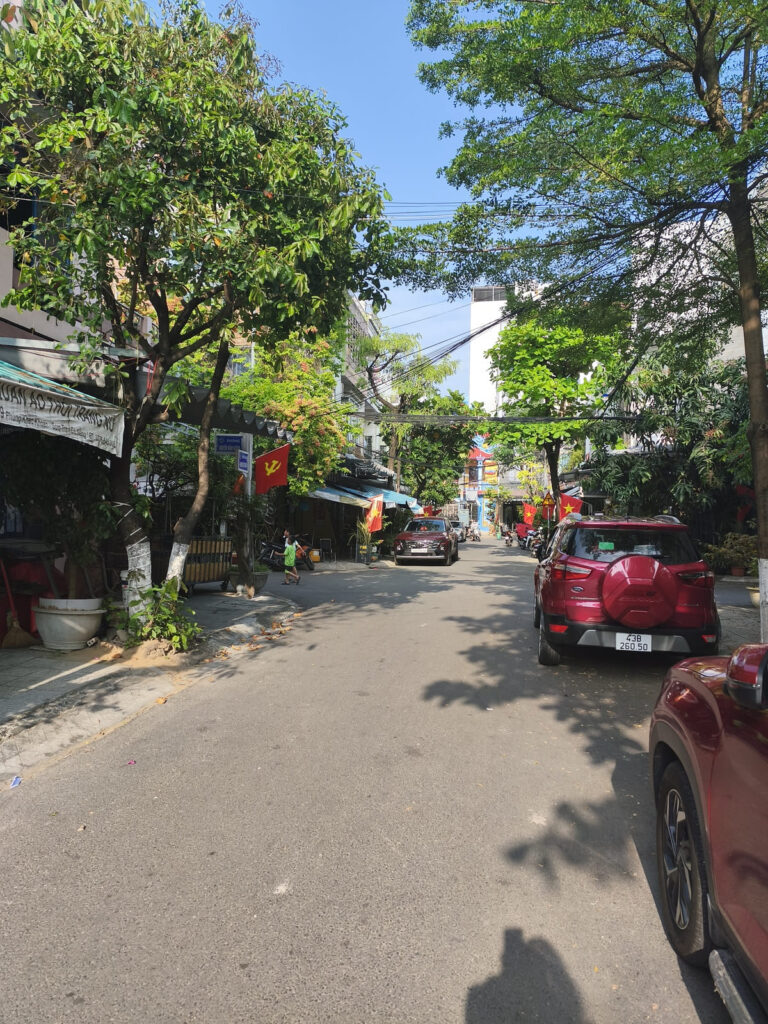 Residential street lined with trees