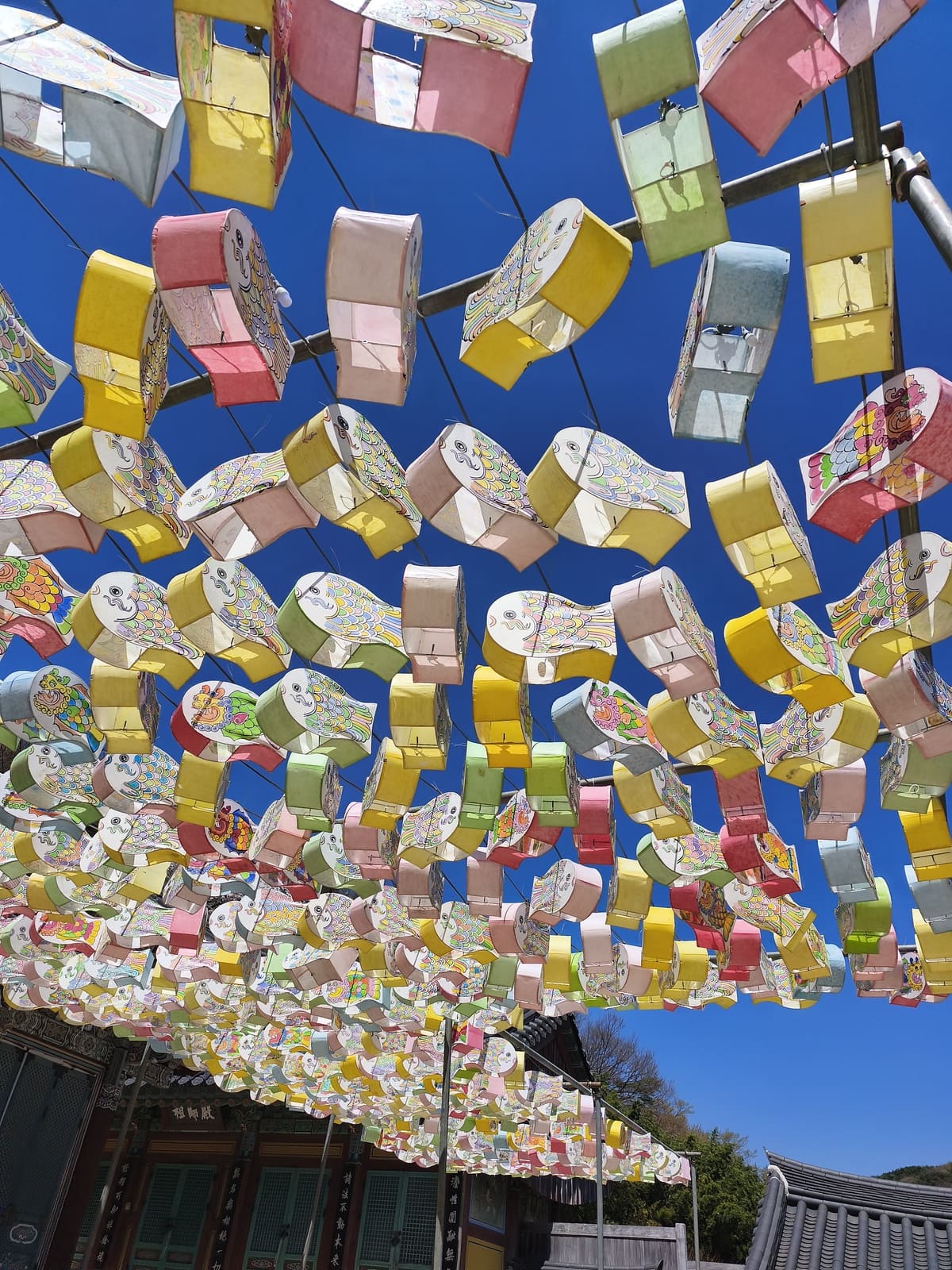 Colorful lanterns in fish shape