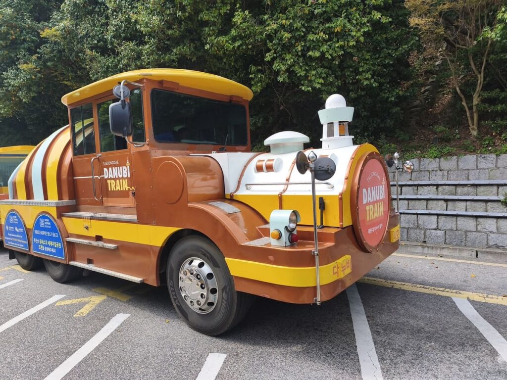 Danubi Train