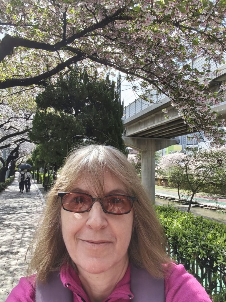 Kitty with cherry blossoms