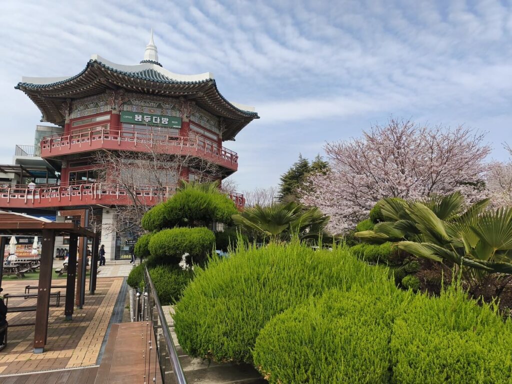 Traditional Pavillion at Yongdusan park with cherry blossoms