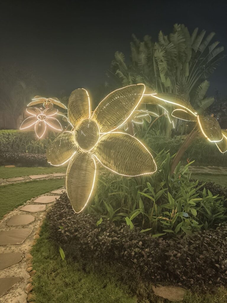 Illuminated big flowers at night