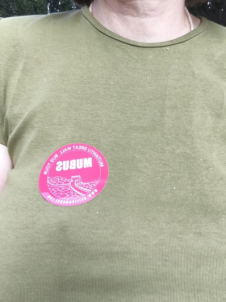 Kitty with a tour sticker