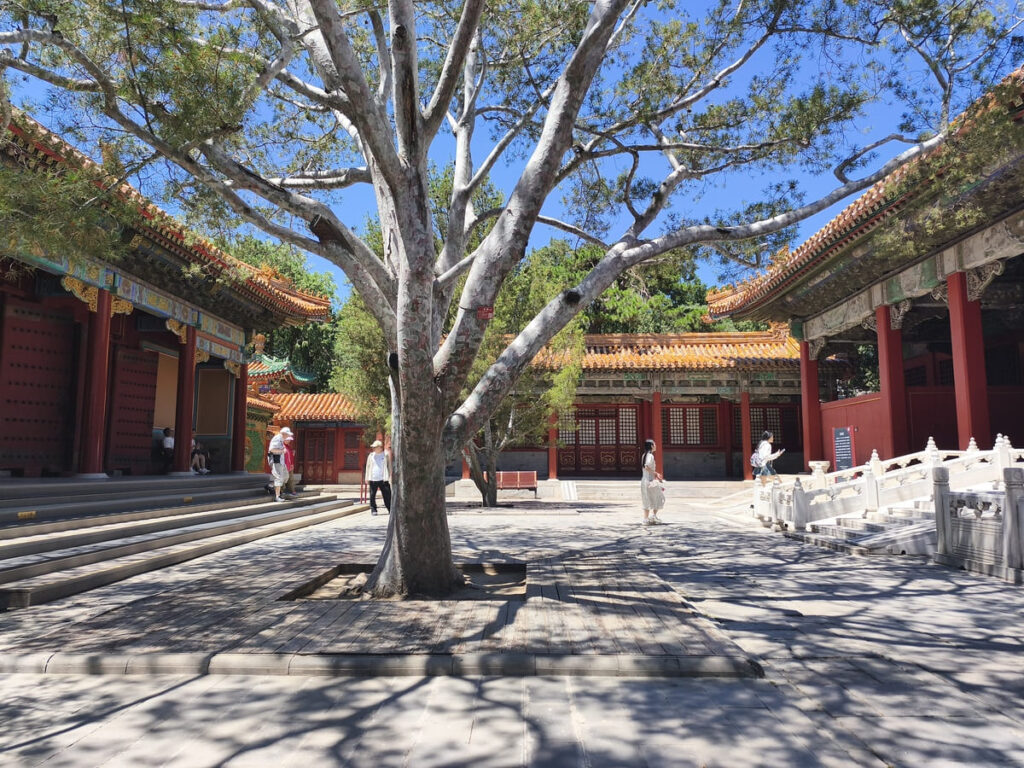 Courtyard in Treasury Gallery