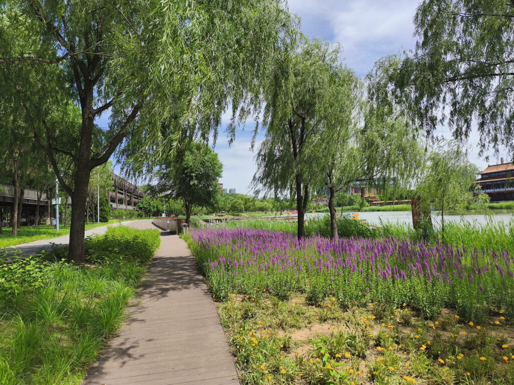 Lake with spring flowers