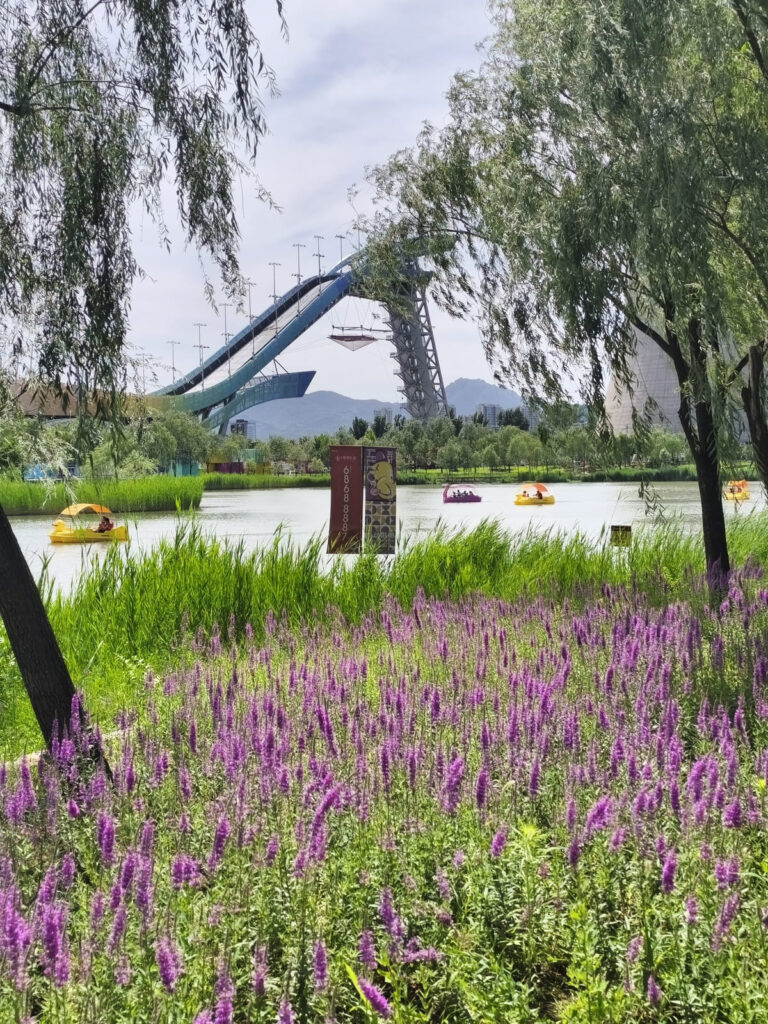 Lake and ski ramp with spring flowers